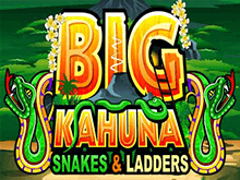Big Kahuna Snakes